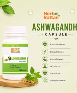 Herbo Rattan Ashwagandha Capsule