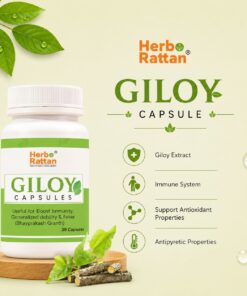 Herbo Rattan Giloy Capsule