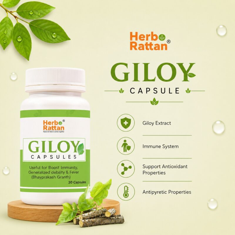 herbo-rattan-giloy-capsule