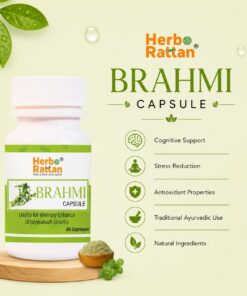 Herbo Rattan Brahmi Capsule